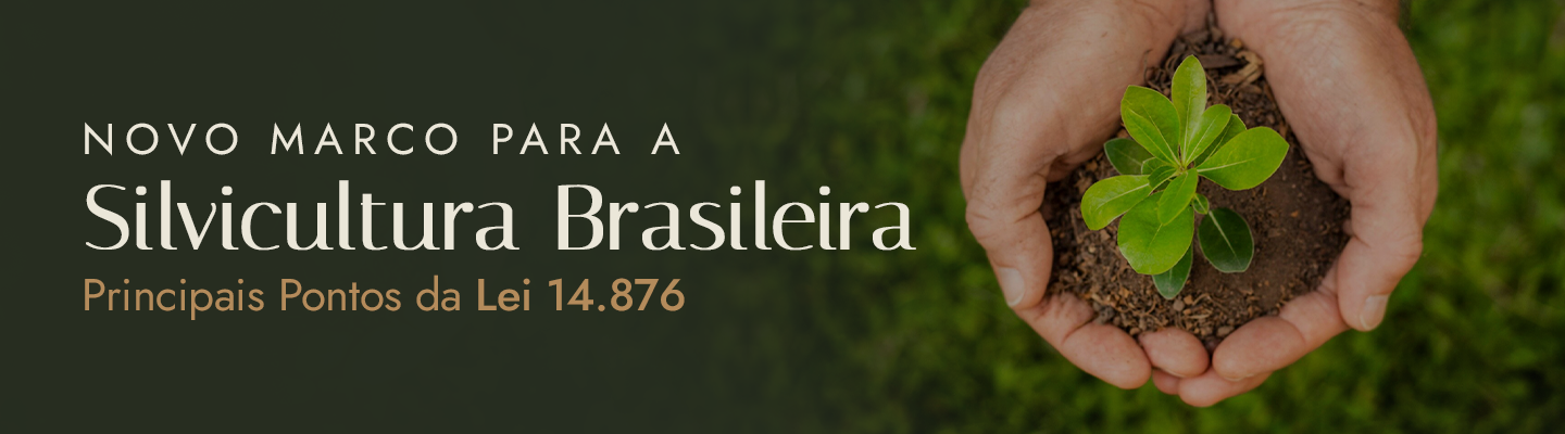 Silvicultura Brasileira